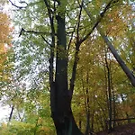 Konukevi Im Gesundbrunnental 3*