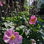 Im Gesundbrunnental 3* Bad Freienwalde