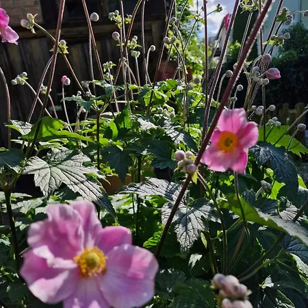 Im Gesundbrunnental 3* Bad Freienwalde