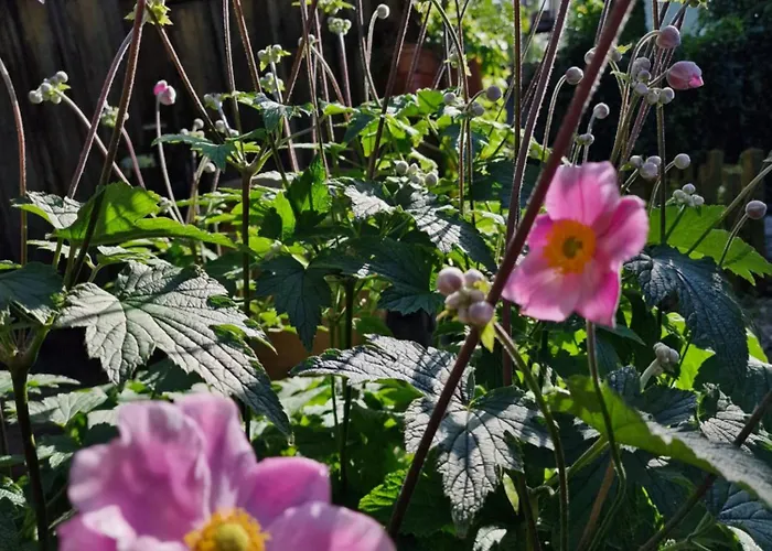 Im Gesundbrunnental 3* Bad Freienwalde